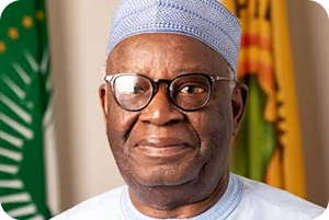 Professor Ibrahim Gambari, member of the National Peace Committee